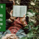 “What If It Was Suddenly Illegal to Read the Bible?” July 23
