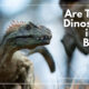 “Are There Dinosaurs in the Bible?” August 24